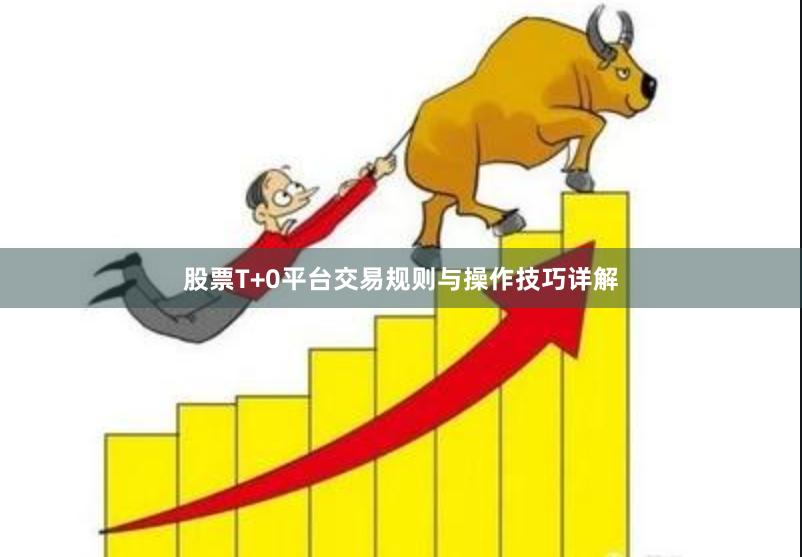 股票T+0平台交易规则与操作技巧详解